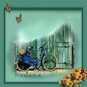 最新国产五码高清
