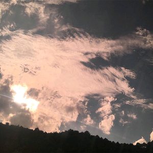 最新国产五码高清
