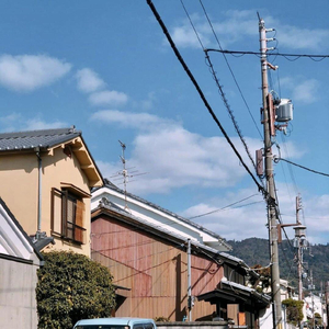 最新国产五码高清
