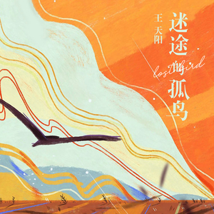 最新国产五码高清
