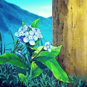 最新国产五码高清
