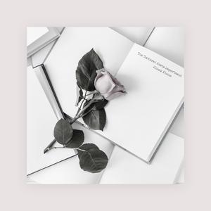 最新国产五码高清
